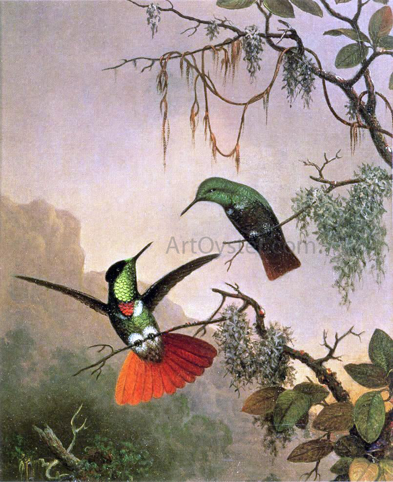 Martin Johnson Heade Two Hooded Visorbearer Hummingbirds - Canvas Print