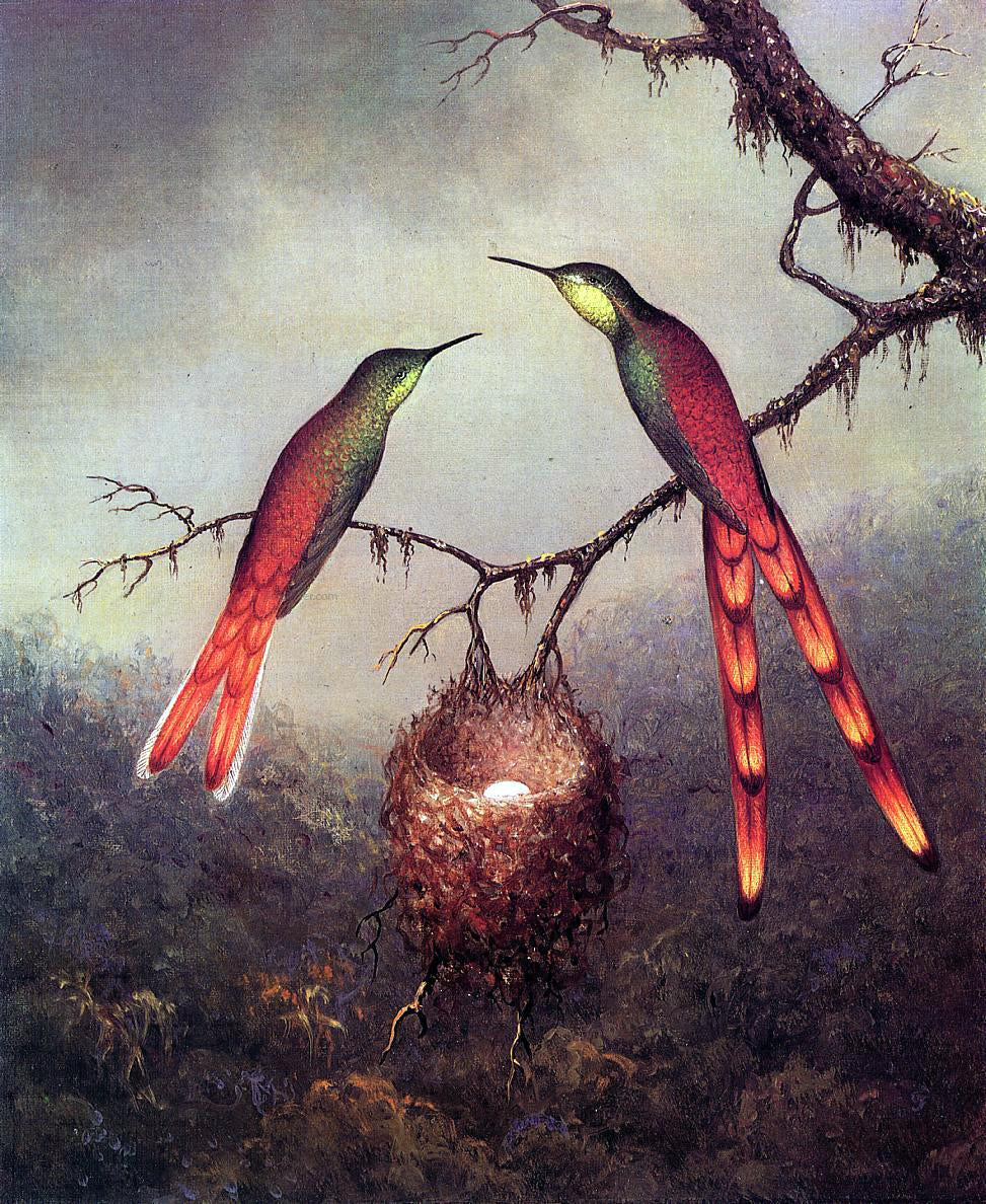 Martin Johnson Heade Two Hummingbirds Garding an Egg - Canvas Print