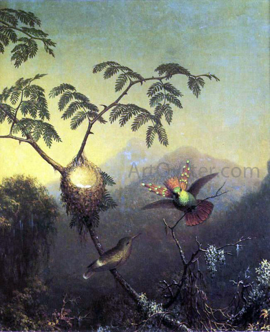 Martin Johnson Heade Two Hummingbirds: Tufted Coquettes - Canvas Print