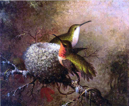 Martin Johnson Heade Two Ruby Throats by their Nest - Canvas Print