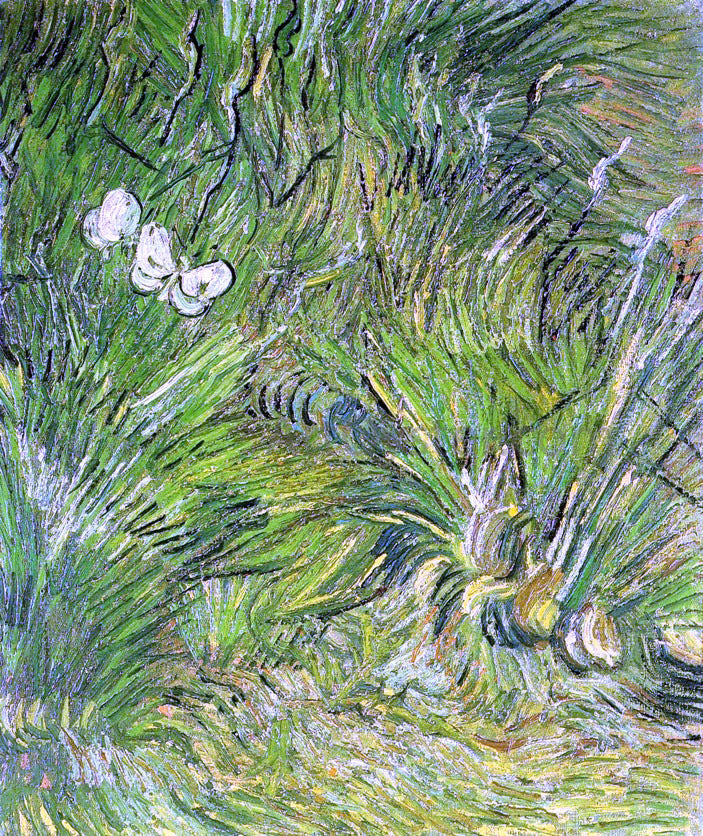Vincent Van Gogh Two White Butterflies - Canvas Print