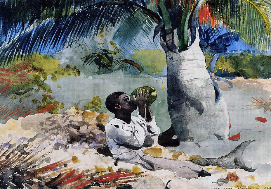 Winslow Homer Under the Coco Palm - Canvas Print