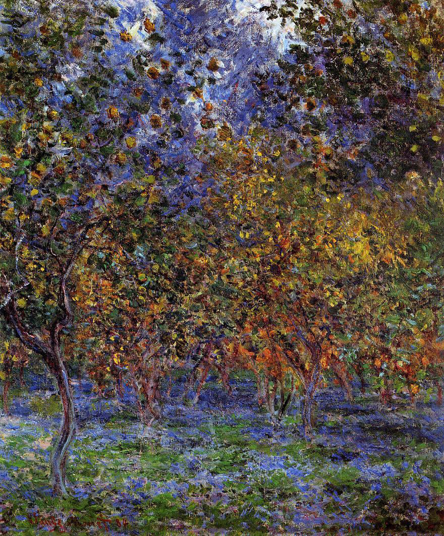 Claude Oscar Monet Under the Lemon Trees - Canvas Print