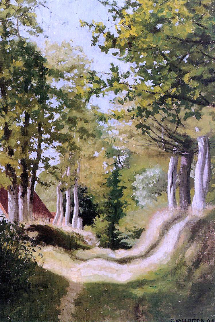 Felix Vallotton Undergrowth - Canvas Print