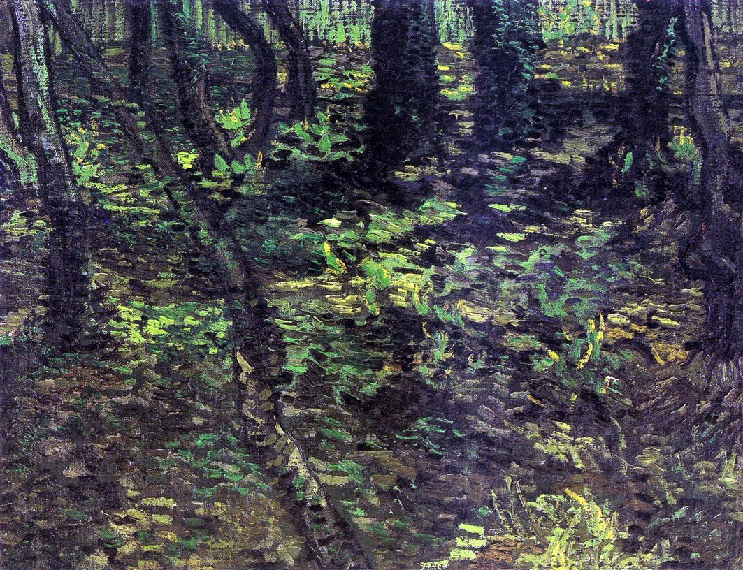 Vincent Van Gogh Undergrowth with Ivy - Canvas Print