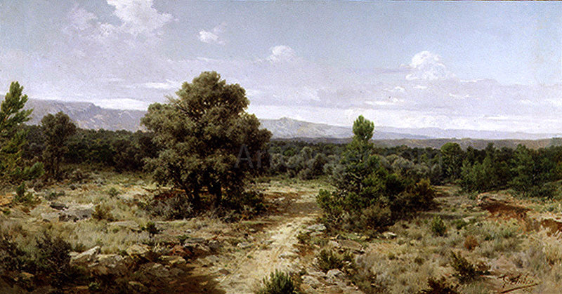 Gonzalo Salva Simbor Unknown - Canvas Print
