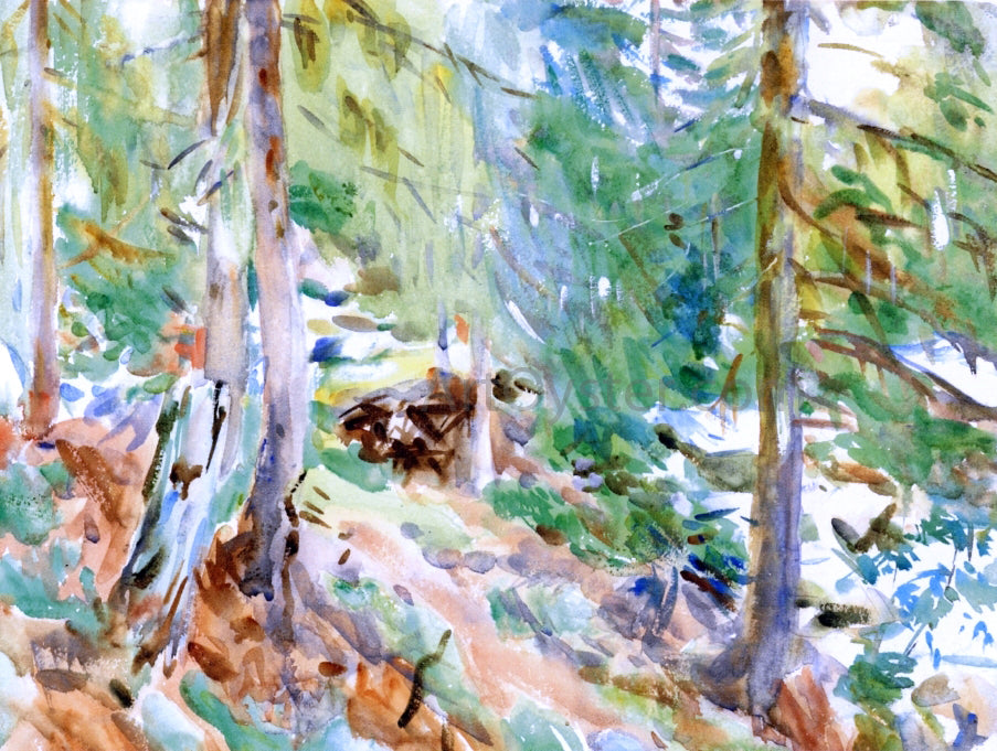 John Singer Sargent Val D'Aosta, Purtud - Canvas Print