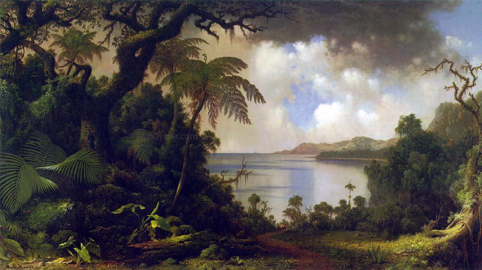 Martin Johnson Heade View from Fern Tree Walk, Jamaica - Canvas Print