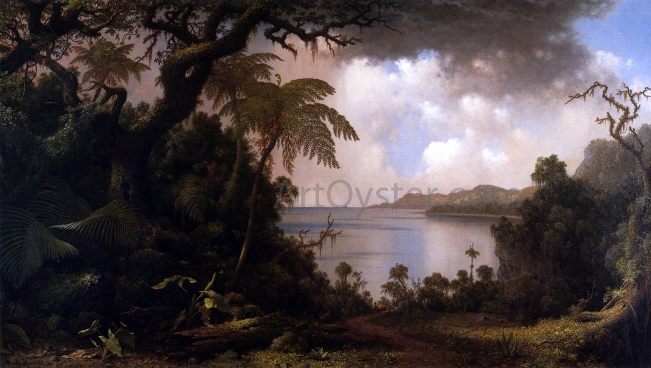 Martin Johnson Heade View from Fern-Tree Walk, Jamaica - Canvas Print