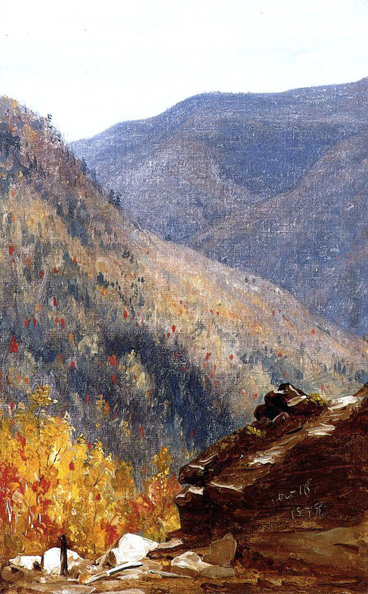 Sanford Robinson Gifford View near Kauterskill Clove - Canvas Print
