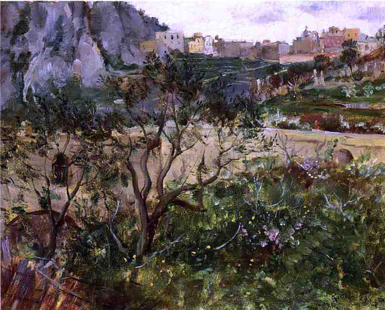 Louis Ritter View of Capri - Canvas Print