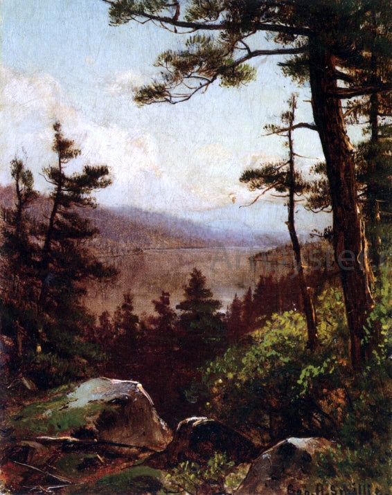George Henry Smillie View of the Valley - Canvas Print