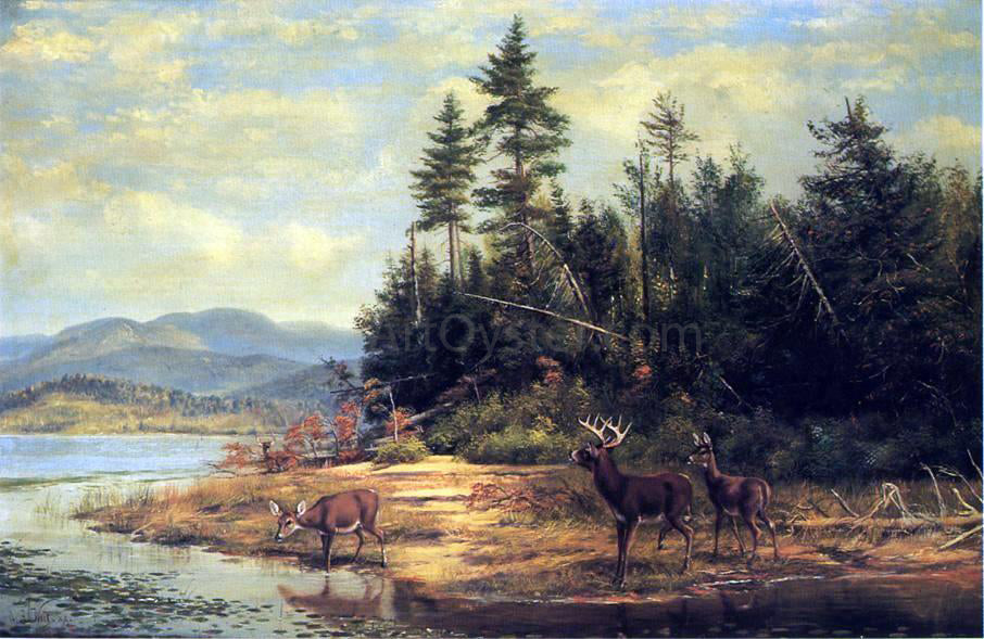 Arthur Fitzwilliam Tait View on Long Lake - Canvas Print