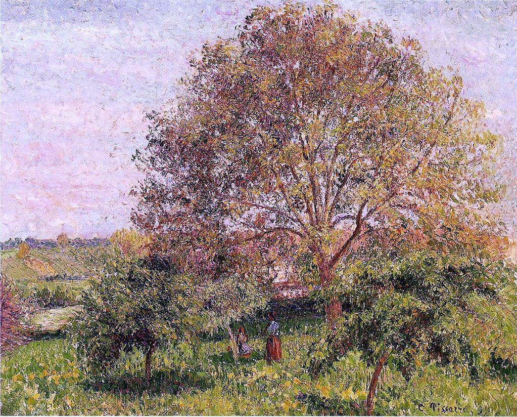 Camille Pissarro Walnut Tree in Spring - Canvas Print