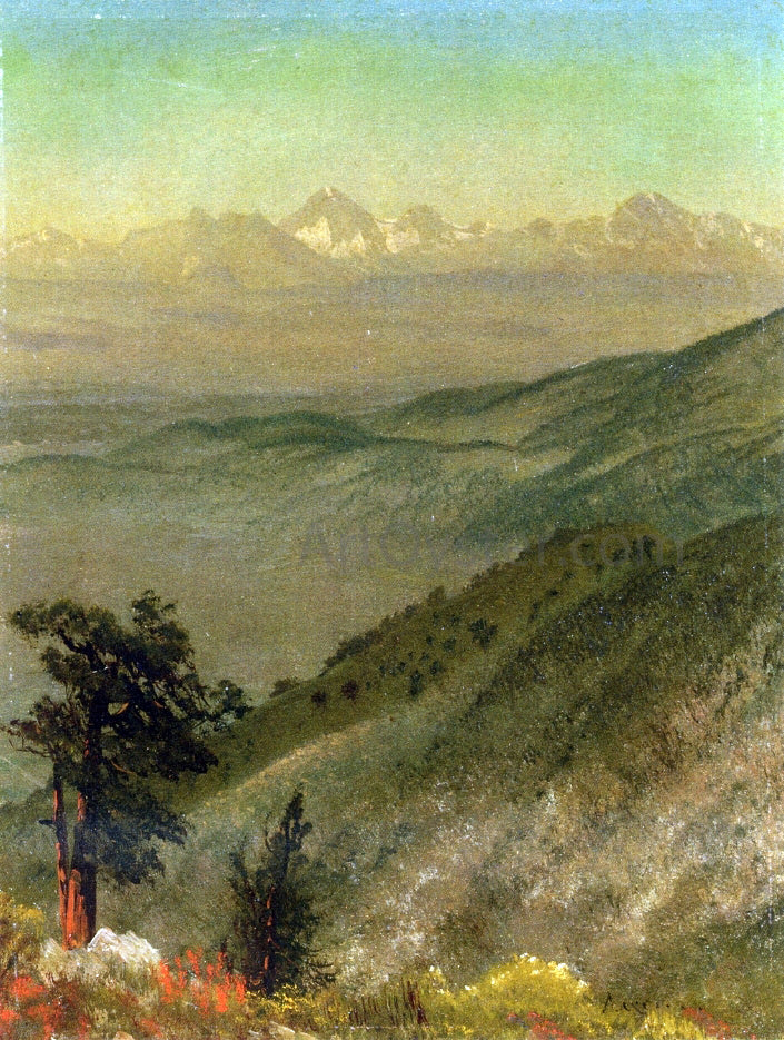 Albert Bierstadt Wasatch Mountains - Canvas Print