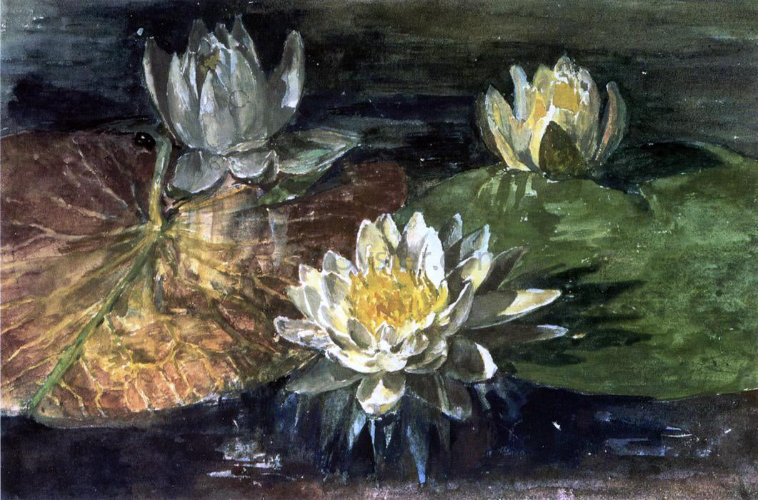 John La Farge Water-Lilies, Red and Green Pads - Canvas Print