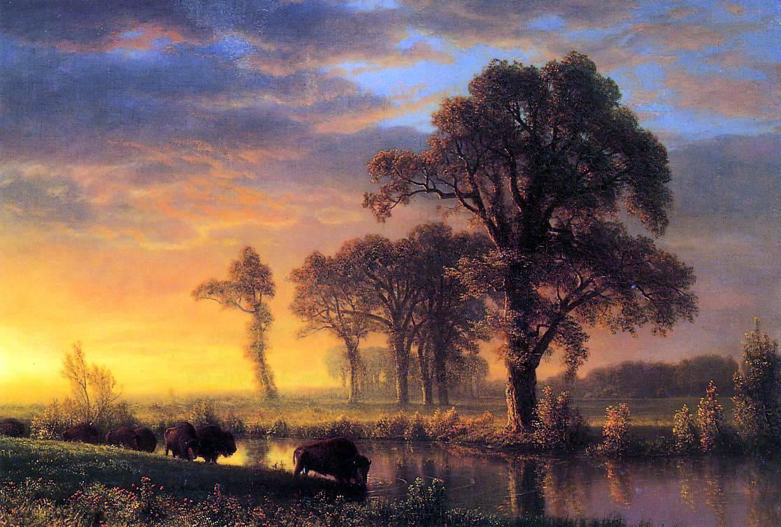 Albert Bierstadt Western Kansas - Canvas Print