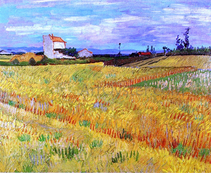 Vincent Van Gogh Wheat Field with Sheaves - Canvas Print