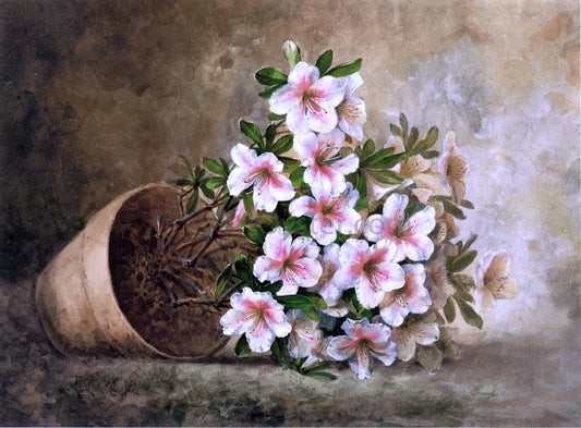 Raoul Paul Maucherat De Longpre White Azaleas in a Flower Pot - Canvas Print