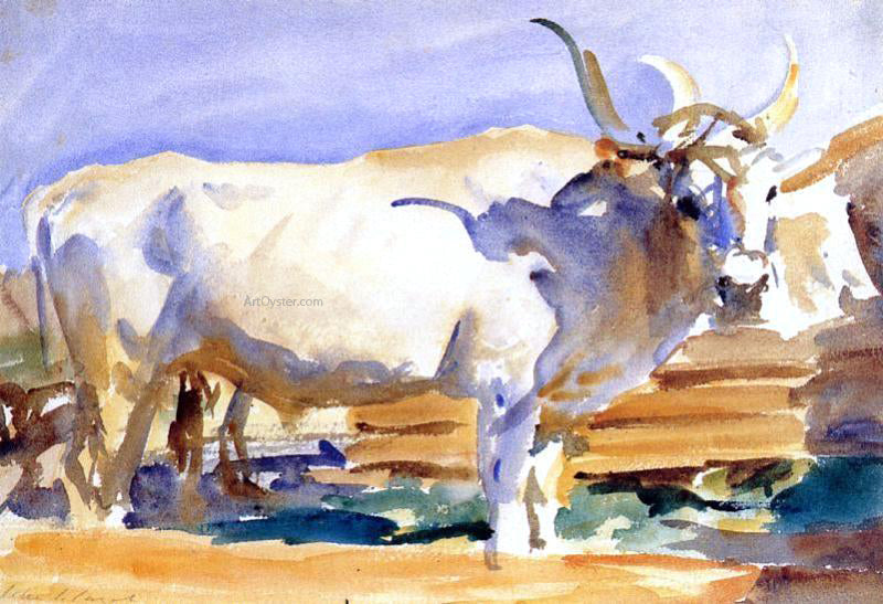 John Singer Sargent A White Ox at Siena - Canvas Print