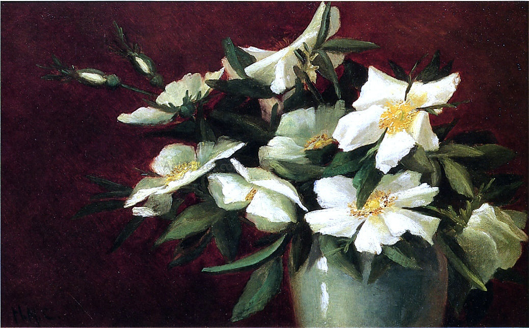 Harriet Cheney White Roses - Canvas Print