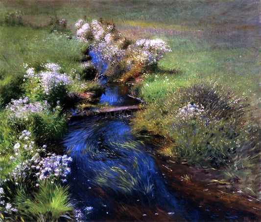 Dennis Miller Bunker Wild Asters - Canvas Print