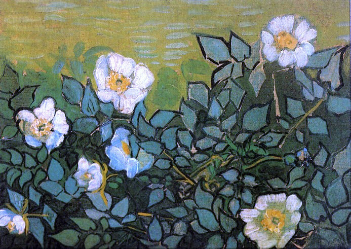 Vincent Van Gogh Wild Roses - Canvas Print