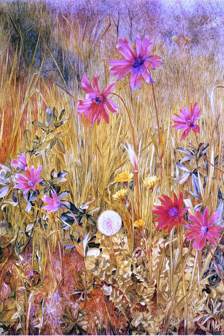 Henry Roderick Newman Wildflowers - Canvas Print