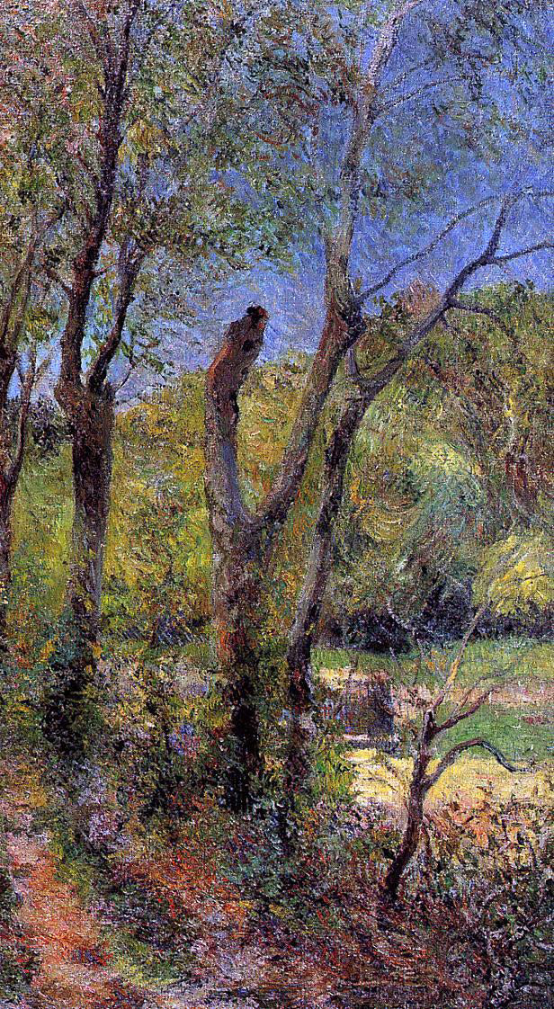 Paul Gauguin Willows - Canvas Print