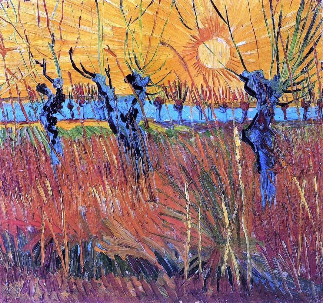 Vincent Van Gogh Willows at Sunset - Canvas Print