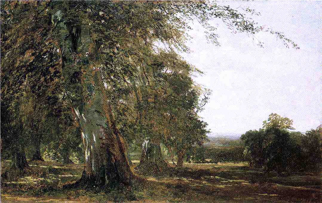 John Frederick Kensett Windsow Woods - Canvas Print