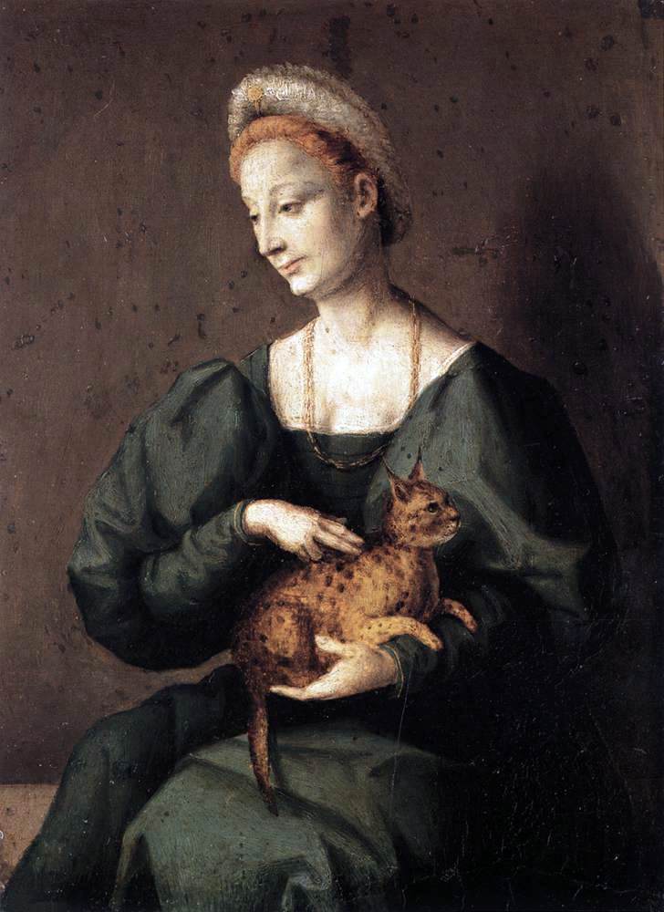 II Francesco Ubertini Bacchiacca Woman with a Cat - Canvas Print