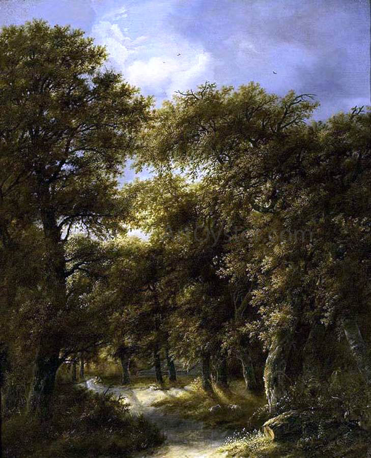 Gillis Rombouts Wooded Landscape - Canvas Print