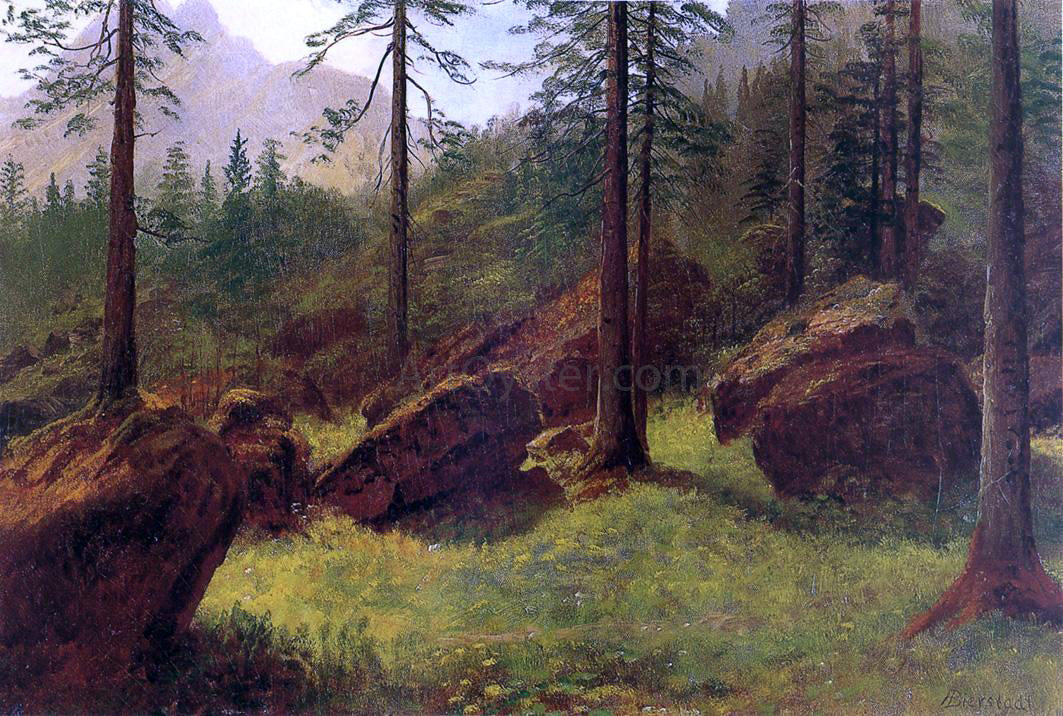 Albert Bierstadt Wooded Landscape - Canvas Print