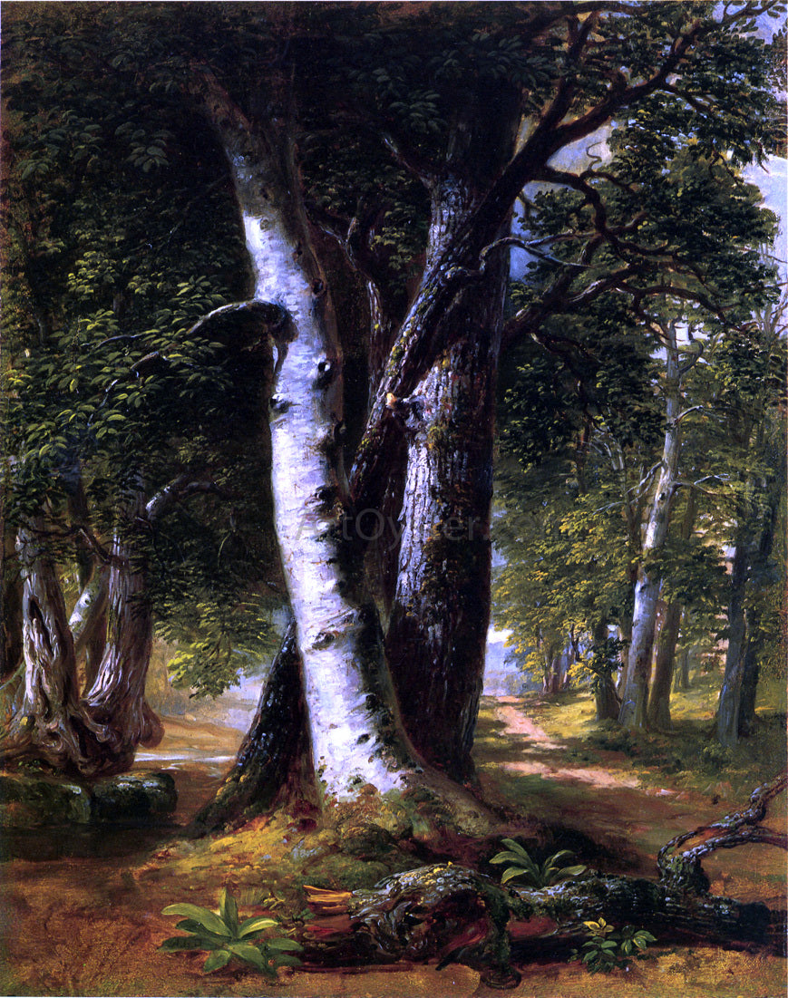 Richard Lorenz Woodland Path - Canvas Print