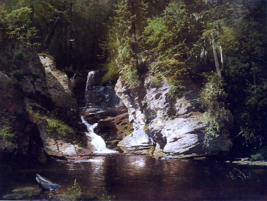 Herman Herzog Woodland Pool, Newry, Maine - Canvas Print