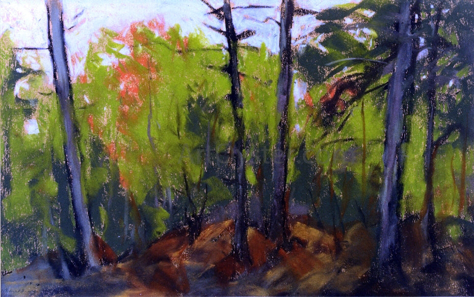 Robert Henri Woodland Scene, Monhegan, Maine - Canvas Print
