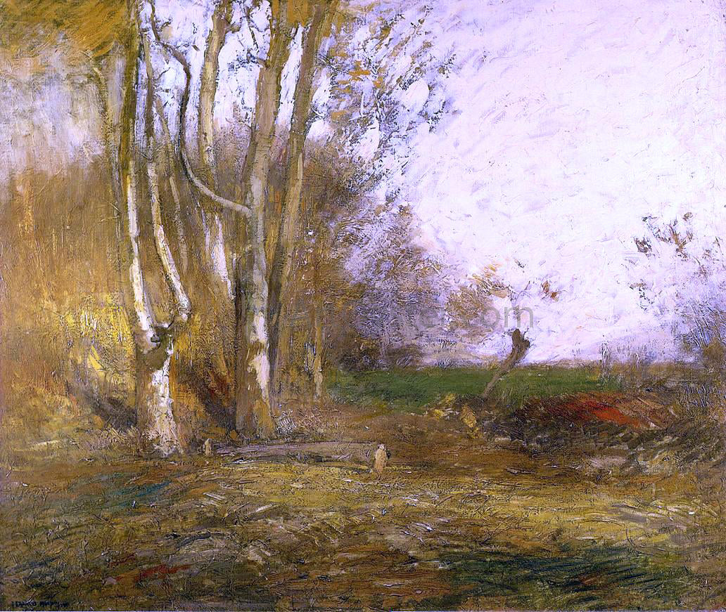 John Murphy Woods Clearing - Canvas Print