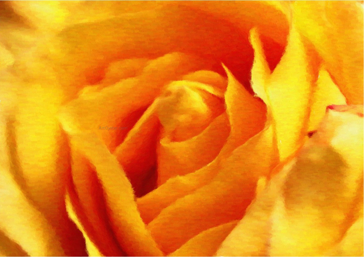 Our Original Collection Yellow Rose in Bloom - Canvas Print