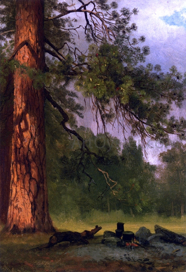 Albert Bierstadt Yosemite Camp Kitchen - Canvas Print