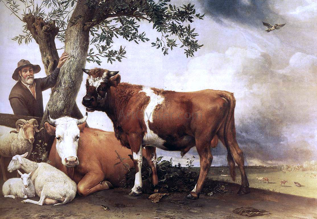 Paulus Potter Young Bull - Canvas Print