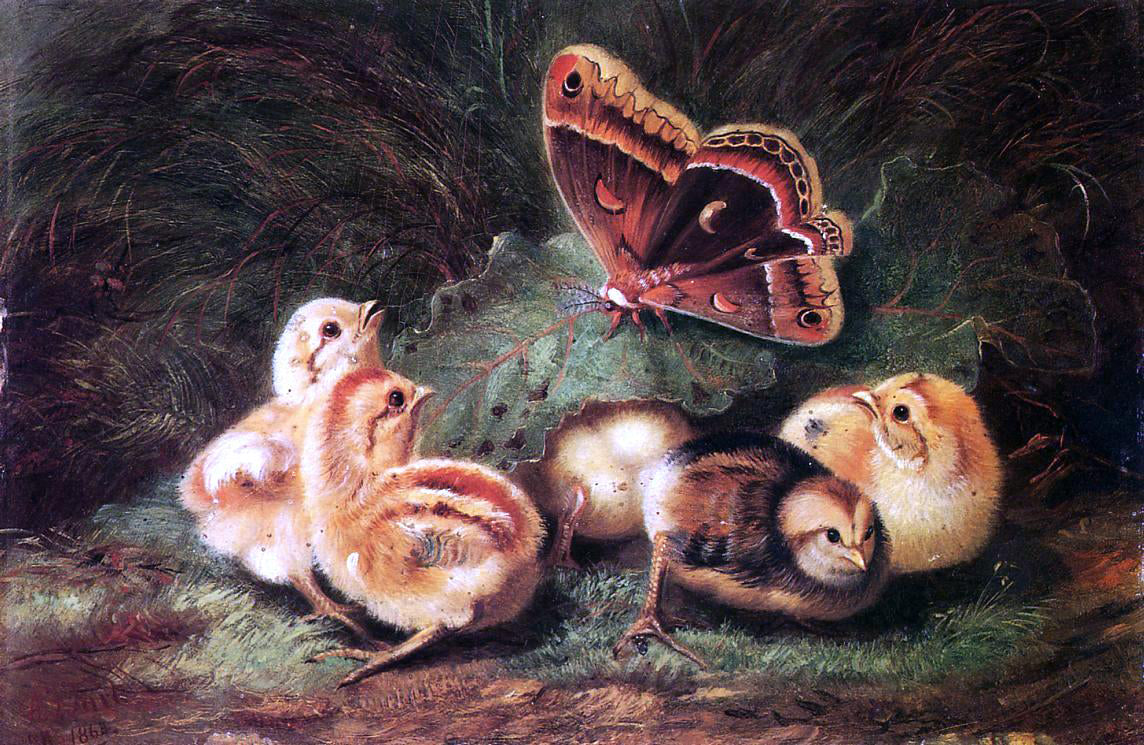 Arthur Fitzwilliam Tait Young Chickens - Canvas Print
