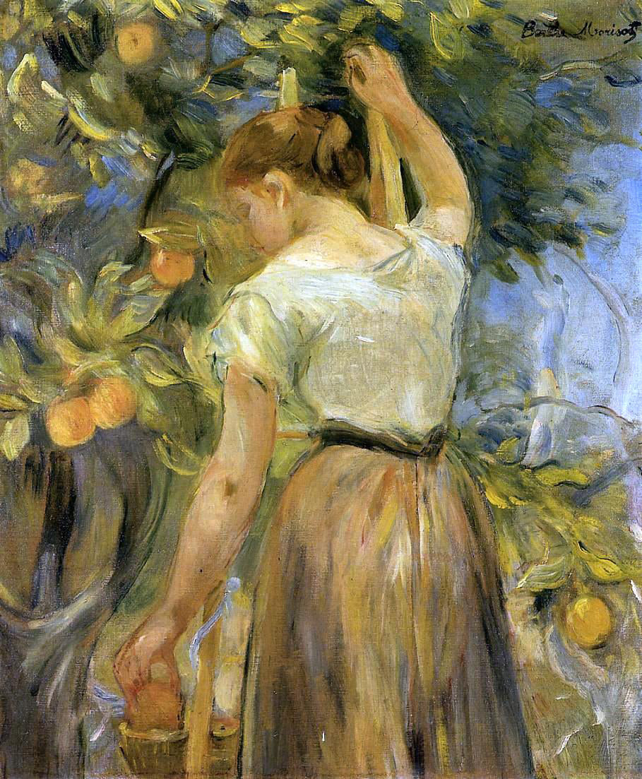 Berthe Morisot Young Woman Picking Oranges - Canvas Print