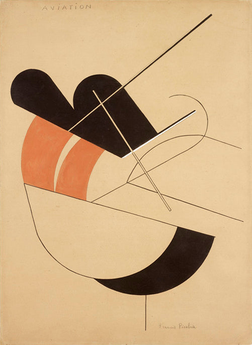 Francis Picabia Aviation - Canvas Print