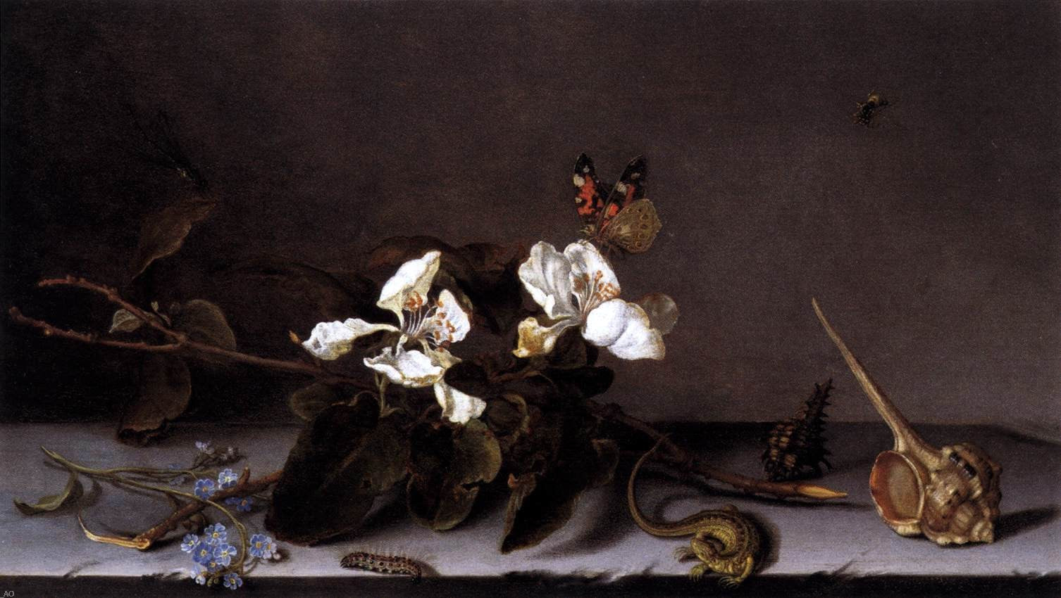  Balthasar Van der Ast Still-Life with Apple Blossoms - Canvas Print