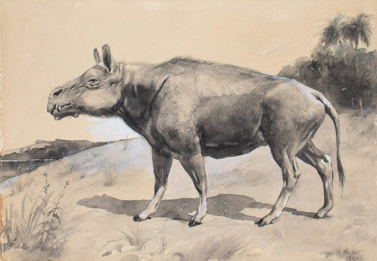 Charles R. Knight Entelodon - Canvas Print