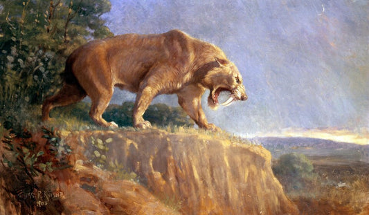 Charles R. Knight Smilodon - Canvas Print