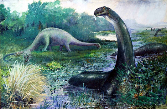 Charles R. Knight Brontosaurus - Canvas Print