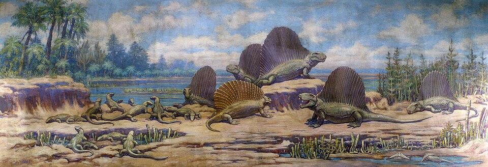 Charles R. Knight Dimetrodon, Edaphosaurus, Casea and Diplocaulus from Permian - Canvas Print