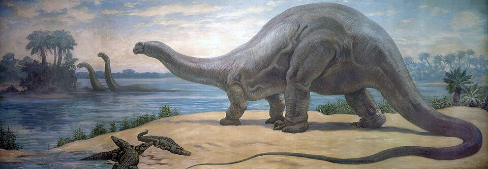 Charles R. Knight Brontosaurus 2 - Canvas Print